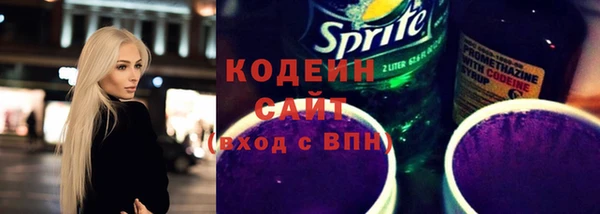 индика Дмитриев