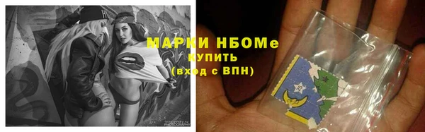 индика Дмитриев
