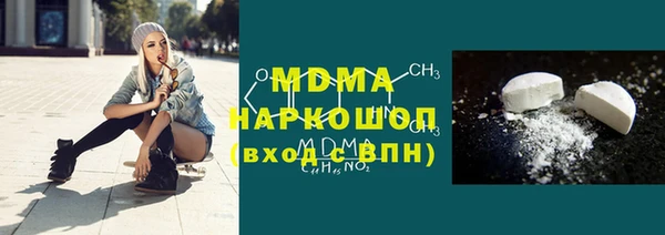 индика Дмитриев
