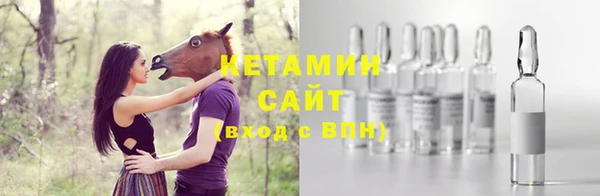 индика Дмитриев