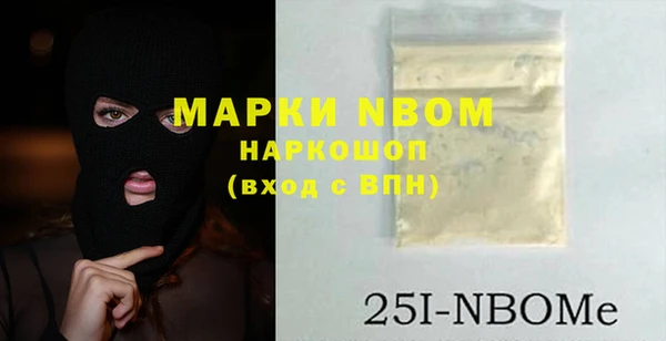 индика Дмитриев