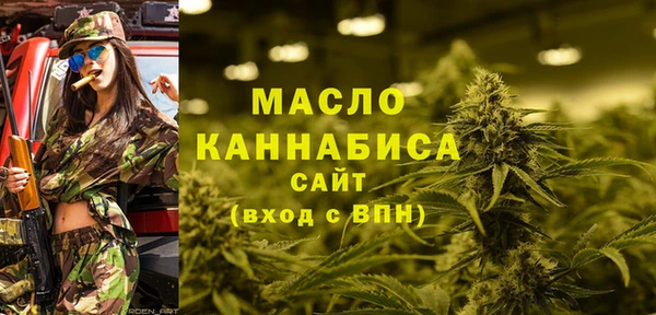 индика Дмитриев