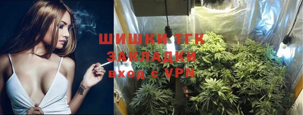 индика Дмитриев