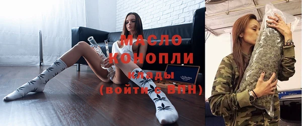 хмурый Дмитров