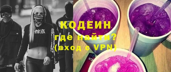 индика Дмитриев