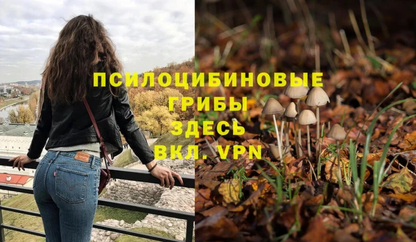 хмурый Дмитров