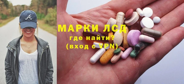 индика Дмитриев