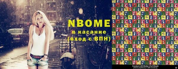 хмурый Дмитров