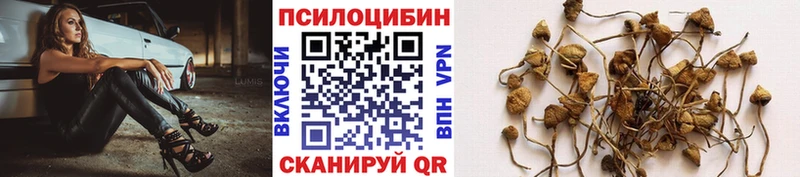 Псилоцибиновые грибы Magic Shrooms  даркнет какой сайт  Плавск  хочу наркоту 